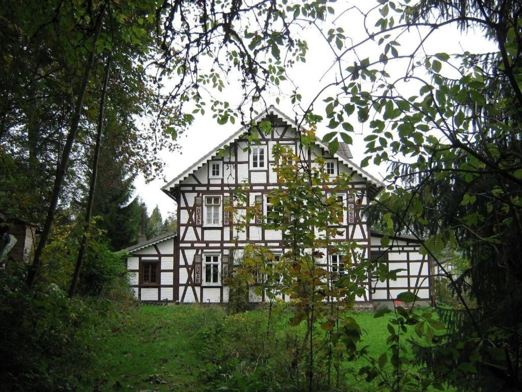 Doppelzimmer / Landhaus Ederlust Heilungsraeume E.V. Hatzfeld Exterior foto